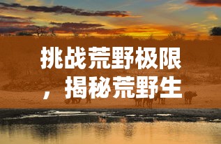 深度解析：在《放置修仙录》游戏中，如何根据角色特性和技能选择最适合自己的职业