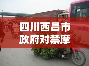 四川西昌市政府对禁摩范围及相关规定做出回应，旨在优化城市交通环境