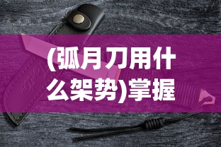 深度解析：《航海王燃烧意志花魁阿玲》如何展现女性独立自强的魅力