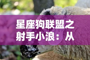 (实况球会经理回归任务)实况球会经理人回归，游戏新篇章，球员、战术与管理的革新