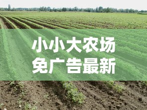 小小大农场免广告最新版下载体验：无需烦恼广告打扰，亲身驾驭自己的农场