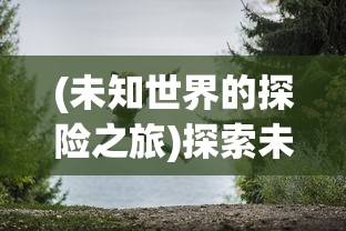 探秘神秘海域：以失落迷船的全部图解为线索，揭露历史上最引人入胜的航海谜团