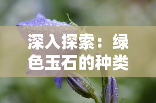 深入探索：绿色玉石的种类、价值及鉴别方法——主要以祖母绿和翡翠为例