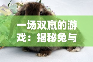 掌握必胜秘诀！圣光之战4.4版本新视角详绎攻略大全图文：角色选择、技能搭配、战术布置一网打尽