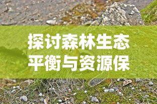 台湾住民热烈迎接远征军灵柩，公众悼念致敬反映台湾社会对英雄的深深尊崇