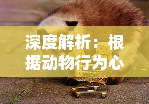 探讨家庭温情与社会责任冲突：浅析电视剧《如意芳霏》剧情发展和主题思考