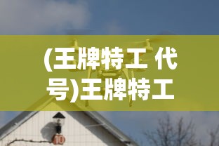 (王牌特工 代号)王牌特工代号英雄：揭秘特工世界的豪情壮志与职业荣誉与责任