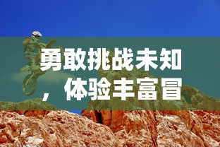 勇敢挑战未知，体验丰富冒险：梦想新大陆小游戏带你探索神秘世界