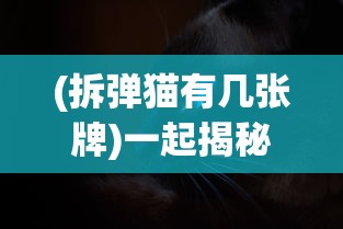 (拆弹猫有几张牌)一起揭秘拆弹猫游戏，详解各类牌具有的数量及其作用