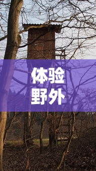 (数码宝贝新世纪最强阵容搭配攻略)探讨数码宝贝新世纪：平民玩家如何组建最强阵容来应对挑战