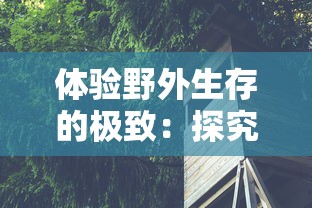 (奇迹之剑)探究奇迹：揭秘我的剑术可能超神背后的奋斗与挑战