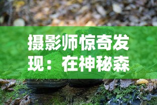 摄影师惊奇发现：在神秘森林中拍到真正的独角兽，证实神话传说中的神秘生物真实存在