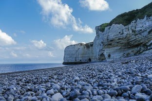 新兴力量崛起：海贼之黑暗主宰掌控下的混乱世界及其对于海洋生态的影响探究