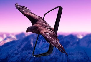 怪猎月之国度:探寻神秘生物、解锁隐藏剧情,探索奇幻世界的冒险之旅 怪猎月之国度:探寻神秘生物、解锁隐藏剧情,探索奇幻世界的冒险之旅