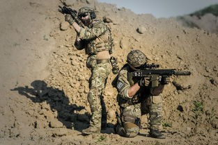 (仙灵觉醒飞羽怎么搭配伙伴)仙灵觉醒飞羽攻闪避流攻略，深度解析与实战指南