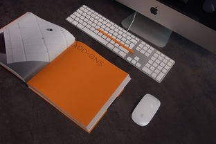 (古典名著50本)古典名著epub补充内容解析，多元视角下的价值与探讨