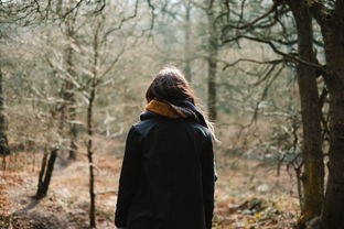 (美杜莎传奇玩法攻略视频)探秘美杜莎传奇，玩法攻略与常见问题解析