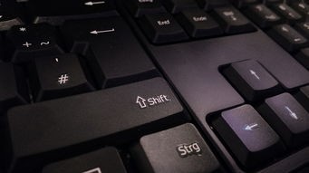(主角林未央)解析未央一梦林如海的文学价值与情感表达