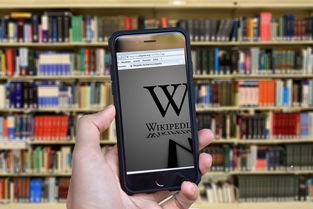 (僵尸风暴官方入口在哪)僵尸风暴官方入口解析，深度剖析与玩家指南