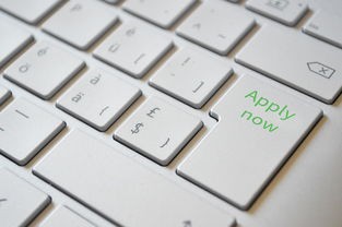 (屠龙霸业英雄合击攻略)屠龙霸业英雄合击，多元化分析及常见问题解答