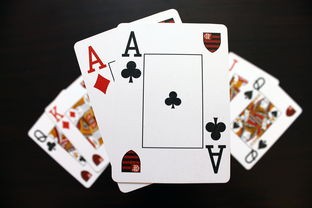 (双界的交织点怎么样)双界链接点公测时间揭秘，深度解析与展望