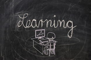 (遗失的终章最新版本下载)遗失的终章最新版补充内容解析，多元视角下的探讨与问题