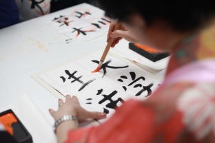 (《战途》)战途王者无限金币资源版，多元化分析及常见问题解答