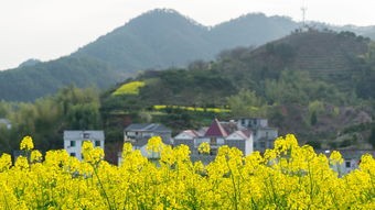 (幻灵仙境改名之后叫什么)幻灵仙境老版本，探寻古典魅力与传承之谜