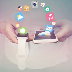 (adobeacrobat免费版)Adobe Acrobat免费补充内容解析，功能、应用与常见问题解答