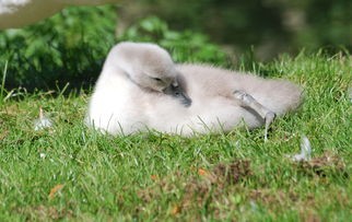 (真红之刃0.1折vip价格表)真红之刃0.1折是一部融合了奇幻、冒险、爱情等多种元素的轻小说作品，由日本作家藤原飞吕彦所著。这部作品以其独特的世界观、丰富的人物设定和跌宕起伏的剧情受到了广大读者的喜爱。以下是对真红之刃0.1折的深入分析、常见问答以及相关参考文献的整理。