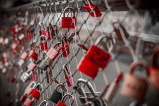 (棍子西游更新公告)棍子西游仙玉补充内容解析，多元化视角下的分析与探讨