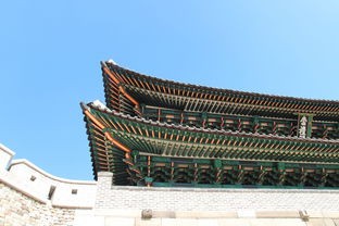 (最强猎手贴吧论坛)最强猎手贴吧补充内容解析，多元化角度分析及常见问答