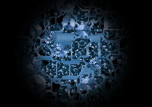 (原始时代人类就会制作项链的视频)原始时代人类生活探秘，多元化视角下的分析与探讨