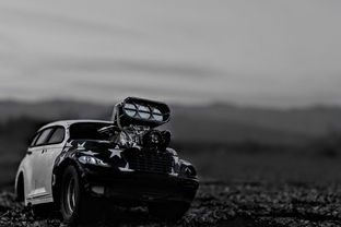 (特兰帝斯汽车)特兰帝斯补充内容解析，多元化视角下的探讨与常见问题解答
