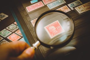 (干完这票图片)干完这票，我们能期待什么？——多元化视角下的深度解读