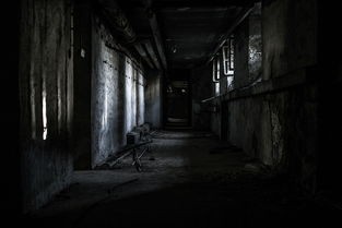 (龙珠神龙骑士)神骑世界龙珠，融合东方元素与西方奇幻的奇幻之旅