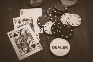 (蛋仔派对逃出惊魂夜新角色)蛋仔派对逃出惊魂夜，一场惊心动魄的冒险之旅