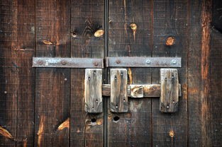 (冒险者集结官网)冒险者集结手游，探索与冒险的盛宴