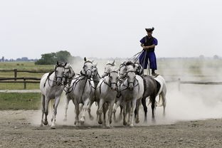 (航天一院战武读博)航天一院战武补充内容解析，多元化视角下的科技创新与发展