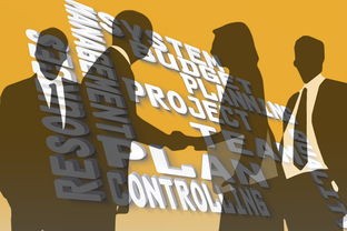 (霸王大陆官方网站下载)探秘霸王大陆，多元化视角下的游戏世界