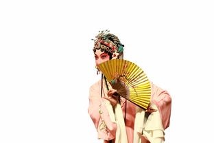 (浮生99不88成就)浮生箓2九九行歌是一部融合了传统文化与现代元素的小说，其内容丰富，寓意深刻。以下是一篇1105字的原创文章，从多个角度对浮生箓2九九行歌进行解析，并提出相关问题，同时包含常见问答和参考文献。