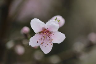 (永恒轮回有国服吗)永恒轮回，国服何去何从？——探讨游戏产业的现状与未来