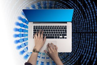 (盛世online手游)盛世Online，多元化视角下的游戏现象解析