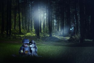 (少年名将化身灵符怎么玩视频)少年名将化身灵符，揭秘古代神秘游戏玩法与历史背景