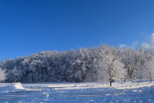 (雪地球小罚)雪地小球球，冬季运动新宠，冰雪中的活力源泉
