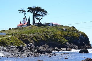 (逃离动物岛攻略大全)逃离动物岛，深度攻略与解析