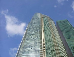 (楼宇是指什么?)楼宇之上，探寻城市高层建筑的未来与发展