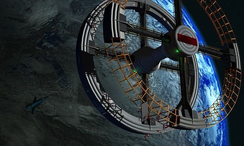 (宠物星球英文简称什么)宠物星球，一个充满奇幻与现实的宠物世界