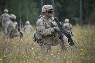 (重装机兵2攻略详细步骤详解)重装机兵2攻略，深入解析与多元化分析