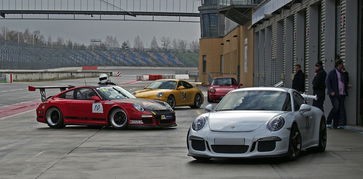 (赛道大师中文版官网)赛道大师中文版，全面解析赛车游戏中的模拟与策略